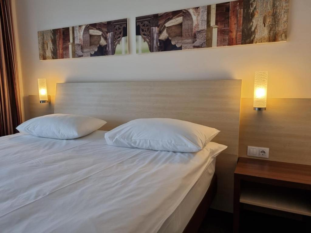 The Gerald'S Hotel Rădăuţi エクステリア 写真